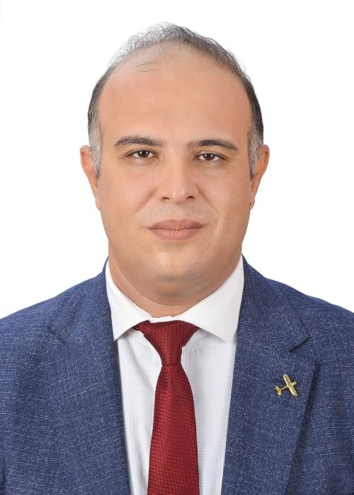 Hany Nabil Rashed